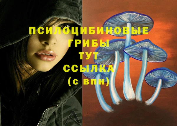дмт Бронницы