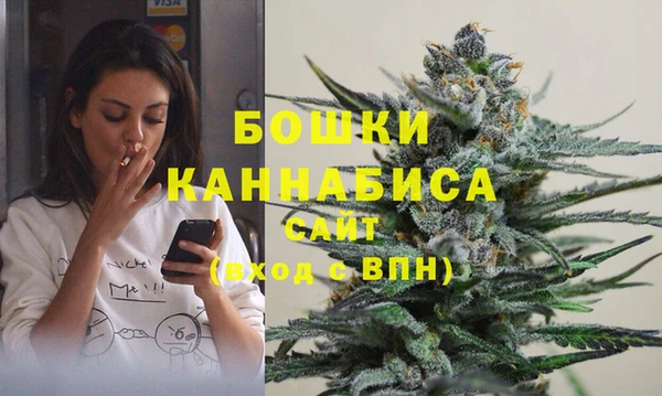 apvp Бородино