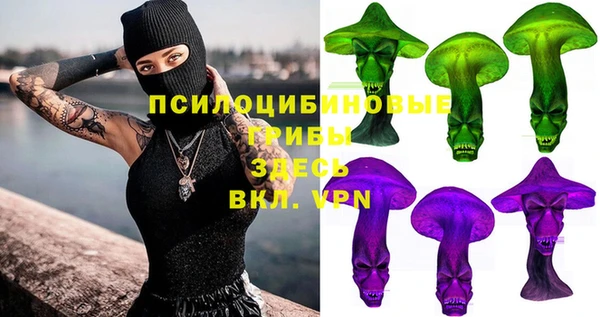 СК Туринск
