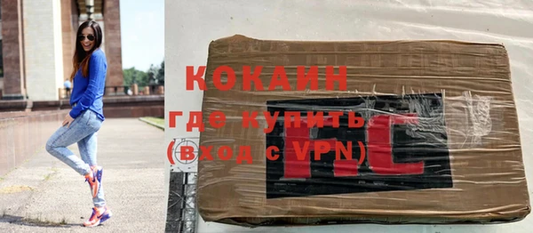 apvp Бородино